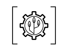 Ecological Process