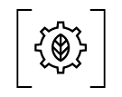 Processo Ecológico